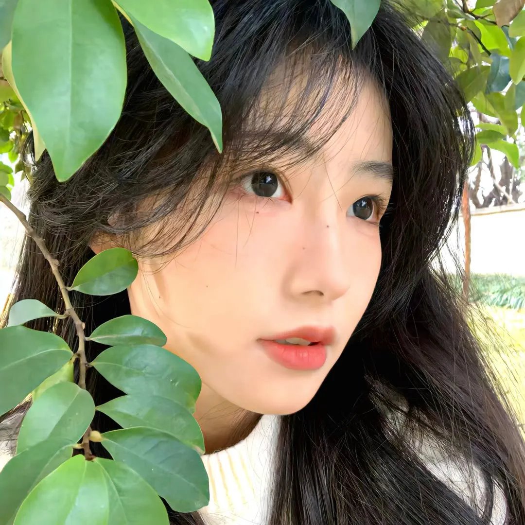 青木瓜之味